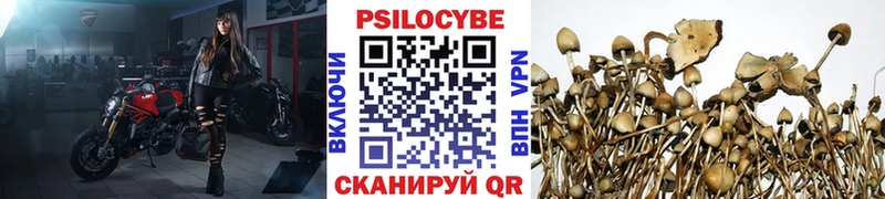 mega ссылки  закладка  Люберцы  Псилоцибиновые грибы Cubensis 