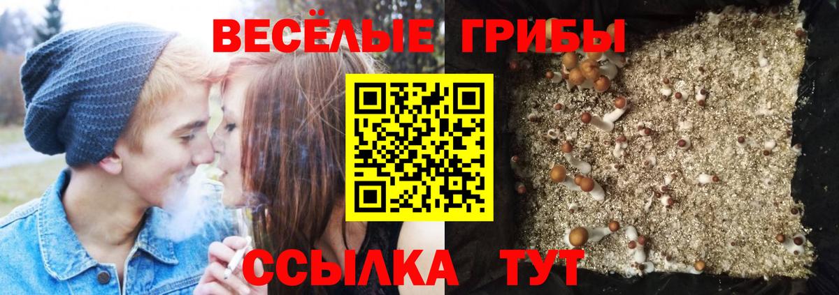 Галлюциногенные грибы Psilocybe  Вход с VPN  Галлюциногенные грибы ЛСД  Люберцы 